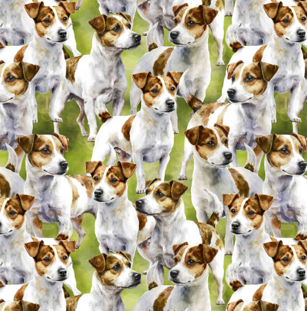DT - sm. Dog - Allover Jack
