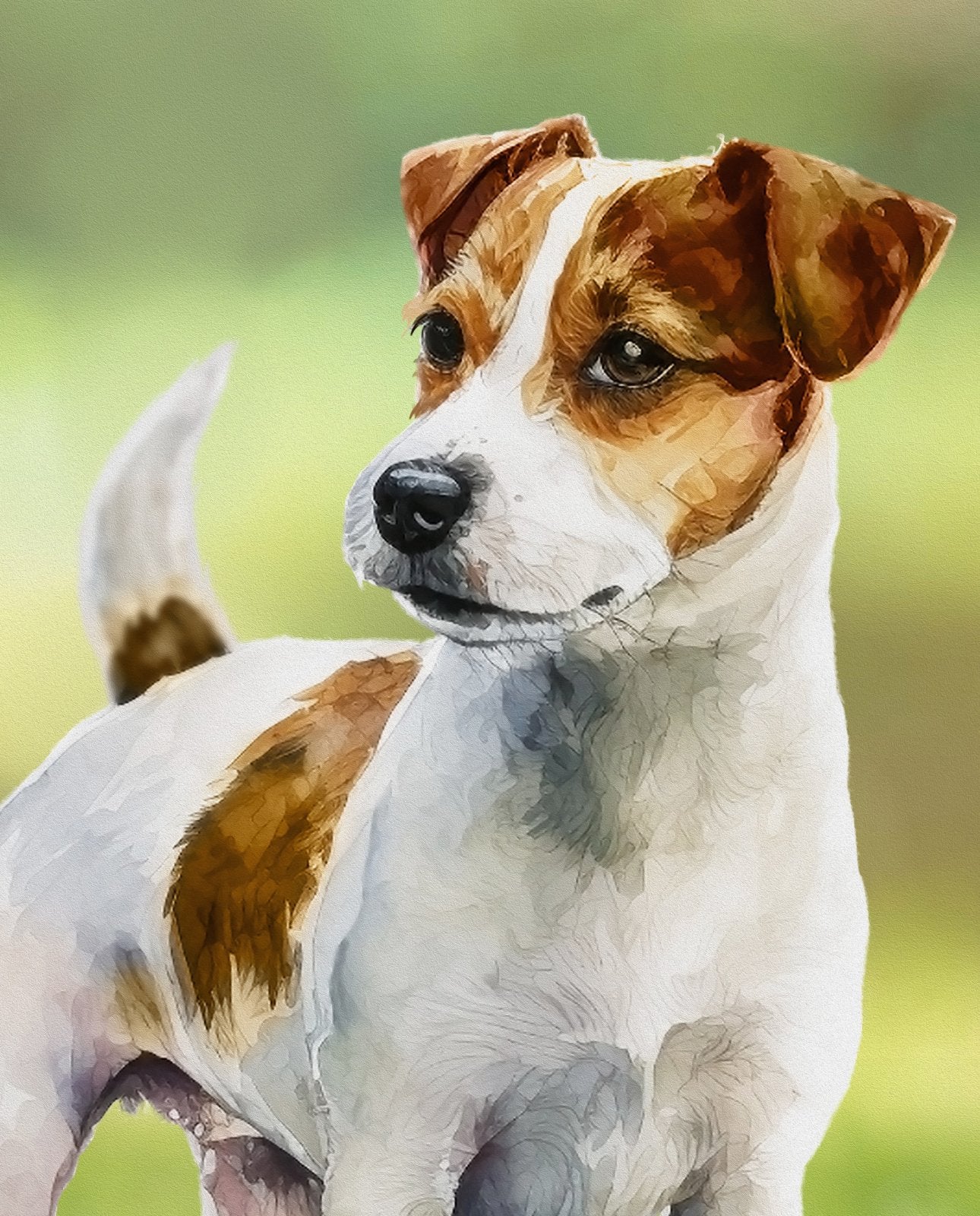 Jack Russell 35.5" x 45" Panel