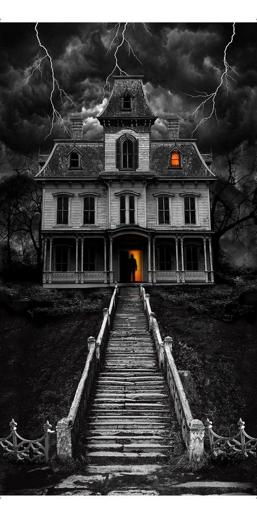 Haunted House Panel 24" x 45" TIMELESS TREASURES wicked