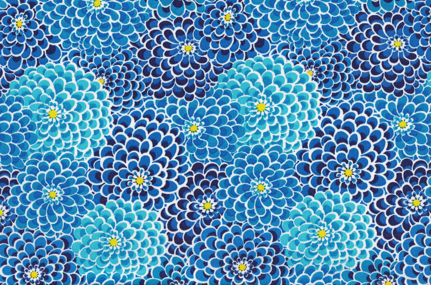 Packed Dahlia Ball Blue