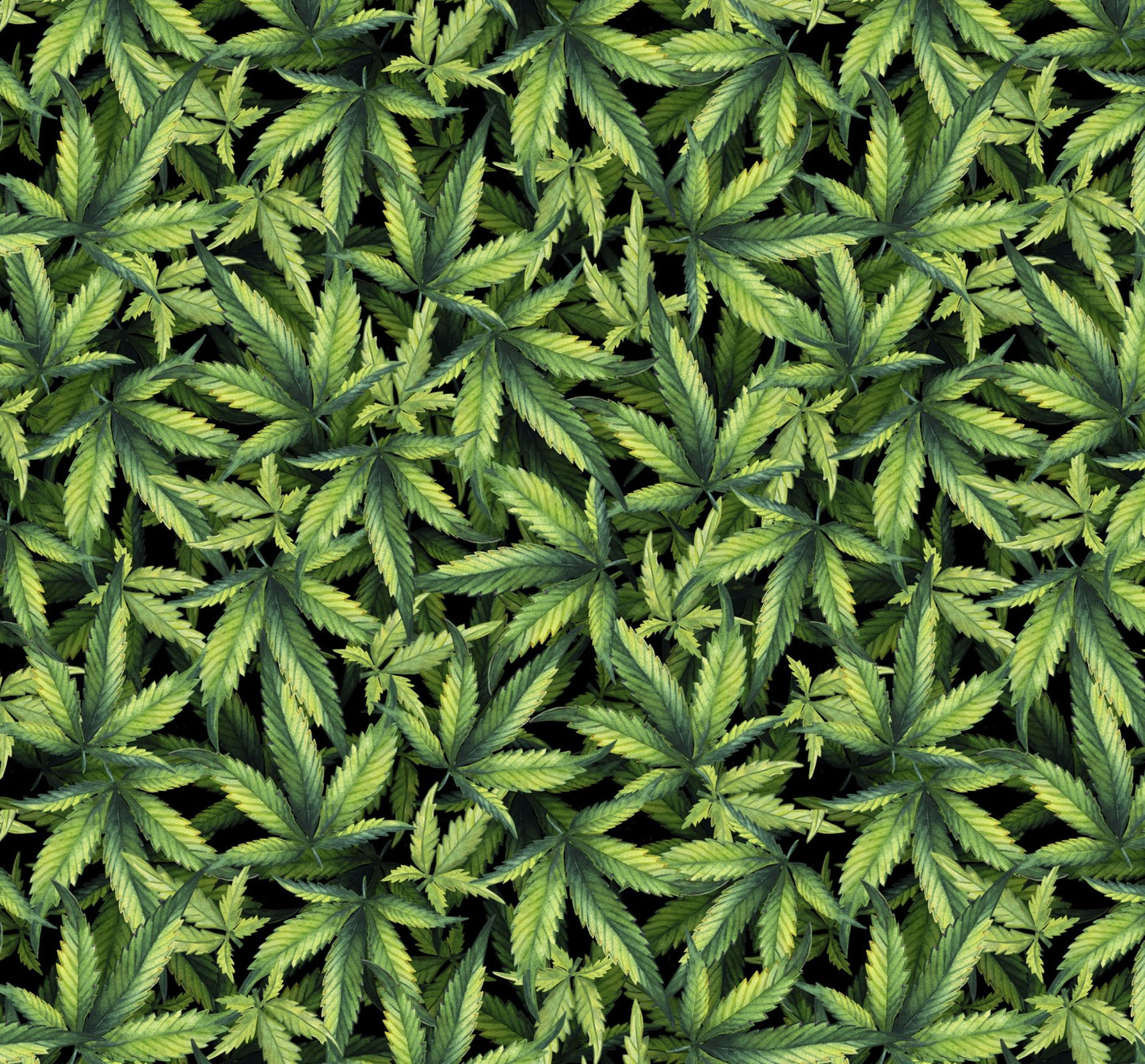 Marijuana Plant Packed 44"/45" David Textiles