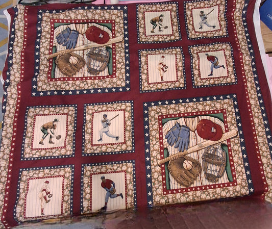 baseball  pillow panel