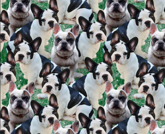 DT - sm. Dog - Allover Frenchie