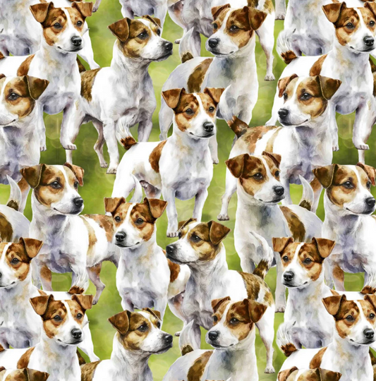 DT - sm. Dog - Allover Jack