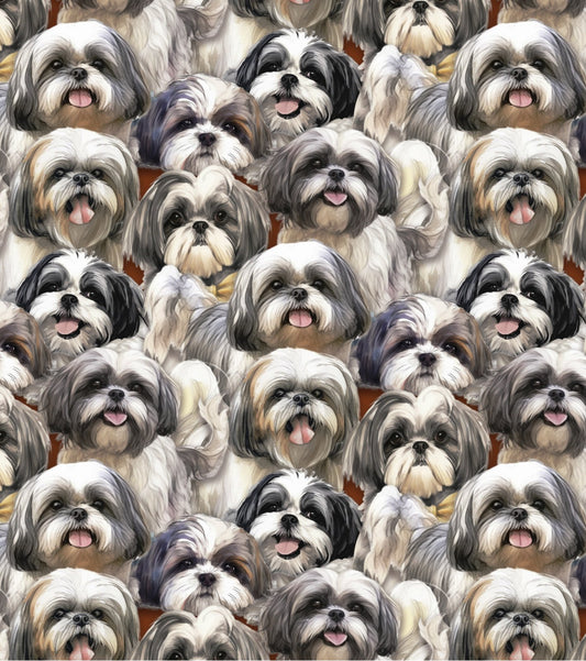 DT - sm. Dog - Allover Shitzu2