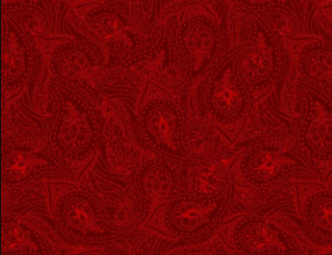 Jasmine Paisley