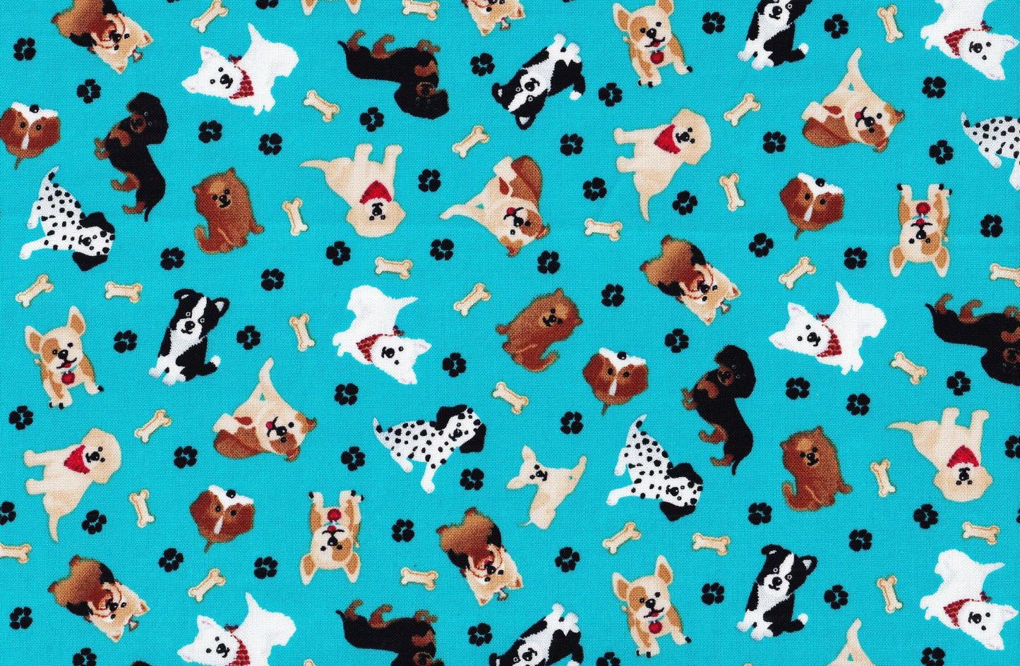 TOSSED PUPS ON TEAL