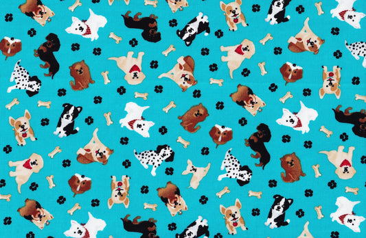 TOSSED PUPS ON TEAL