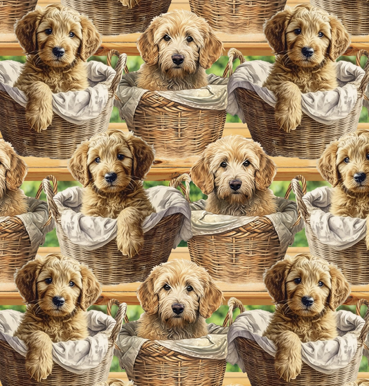 DT - sm. Dog - Allover Goldendoodle